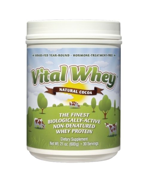 Wellwisdom - Vital Whey Cocoa (600gr)