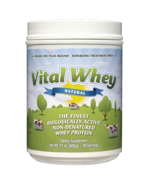 Wellwisdom - Vital Whey Natural (600gr)