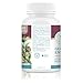 Sloth Medical - Full Globe Artichoke,10-pack blister