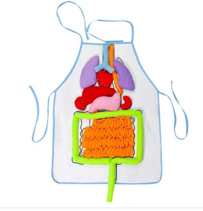 Kids Plush Anatomy Apron Toy | Learn Body Organs Canada USA