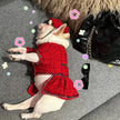 Dog Dress & Hat Set | Chewnel Tweed Dog Outfit