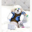 Dog Sweater Shirt | Chewy Pawtton Layered Knit