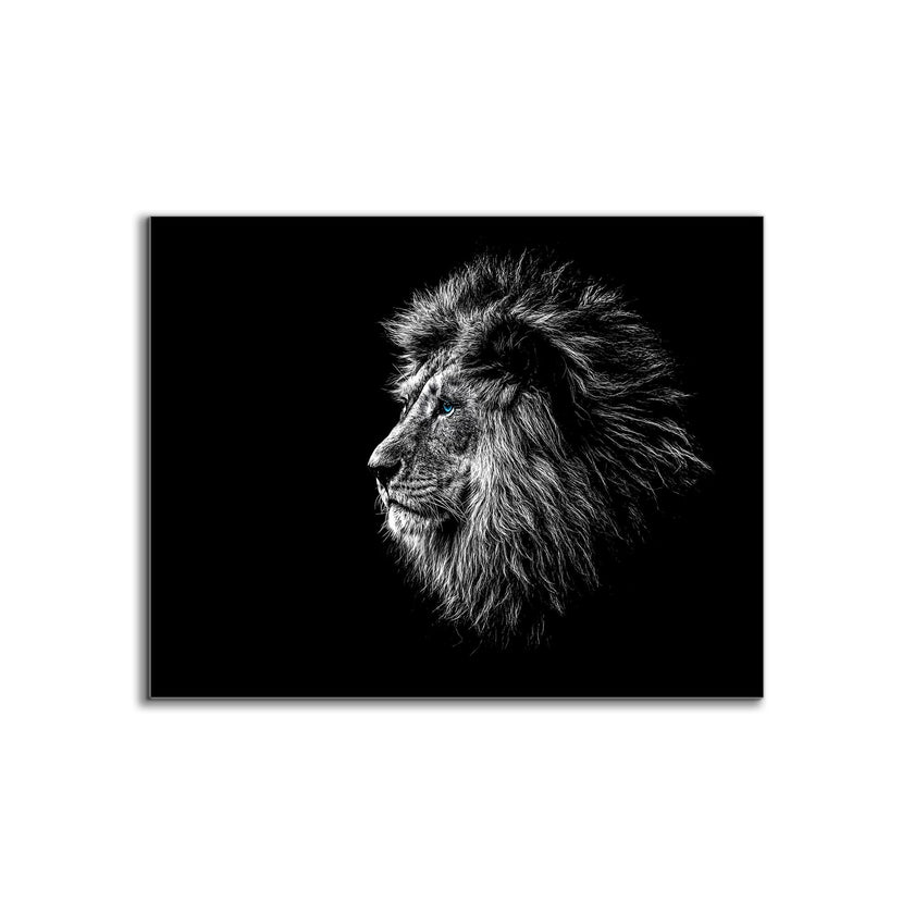 Wildlife Canvas Art-Lions Head Blue Eye in Black and White -Silver varnish