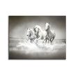 Wall Art Black and White Stallions - Animal Print Canvas