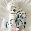 Dog Robe Set | Do Not Disturb Dog Robe with Toy
