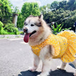 Daisy Spring Dress – Floral Luxury Dog Dress for Large Breeds