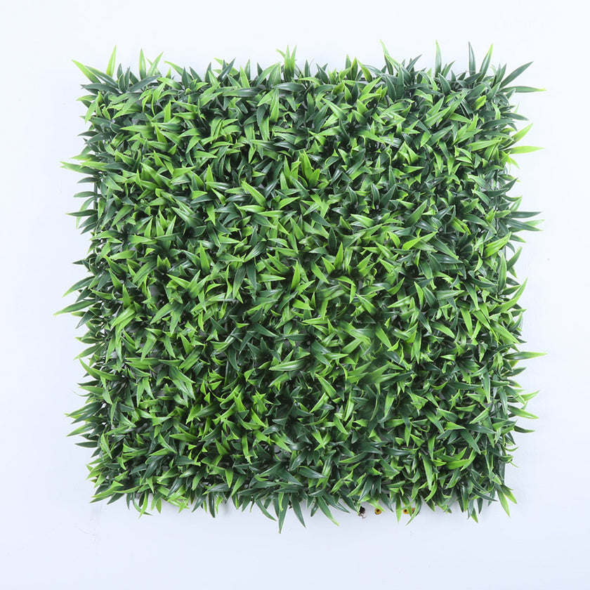 Malaga (box of 12)