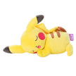 Pikachu (Sleeping)