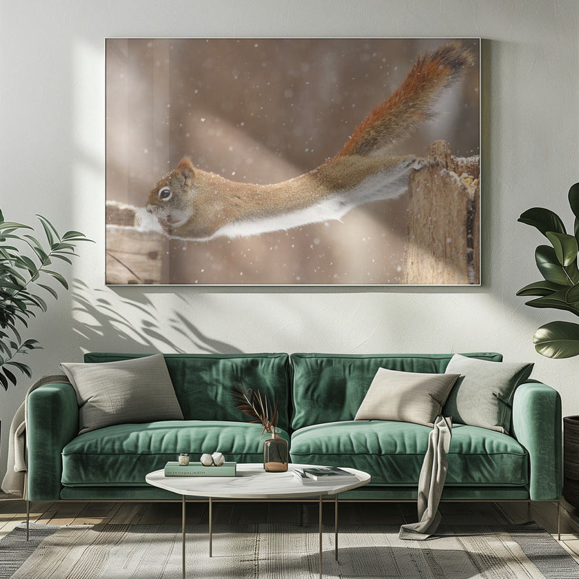 Wall art The Acrobat