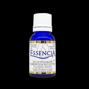 Essencia - Essential oil Eucalyptus Radiata (15ml)