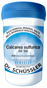 Homeocan - NO.3 CALCAREA SULFURICA 6X (500tab)