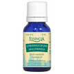 Essencia - Citronella Essential Oil (15ml)