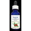 Essencia - Rose Hip Carrier Oil (100ml)