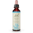 Bach - Beech (20ml)