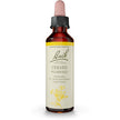 Bach - Cerato (20ml)