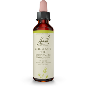Bach - Chestnut Bud (20ml)