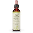 Bach - Chestnut Bud (20ml)