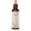 Bach - Elm (20ml)