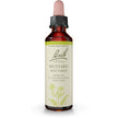 Bach - Mustard (20ml)