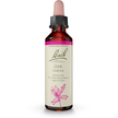 Bach - Oak (20ml)