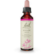 Bach - Willow (20ml)