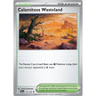 Calamitous Wasteland (175/193) (PAL)