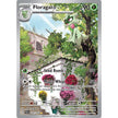 Floragato (197/193) (PAL)
