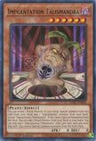 Impcantation Talismandra (WISU-EN044) - Wild Survivors 1st Edition