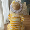 Summertime Happiness Dress Set – Luxury Large Breed Dog Dress with Hat
