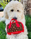 Chewy Vuitawn Plush Purse Toy | Dog Plush Toy