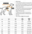 Jackson Dog Jacket | Dog Jacket for Cold Weather