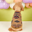 Brandon Sweater for Dogs – Cozy Dog Sweater Outfit
