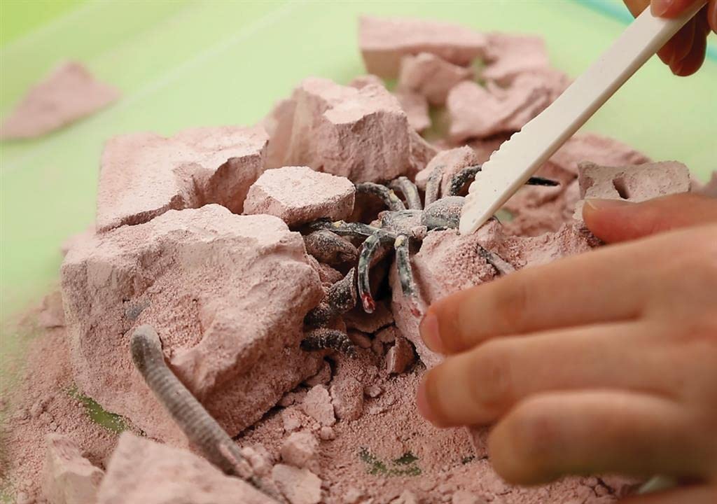 4M - Creepy Crawly Digging Kit