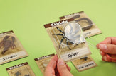 4M - Creepy Crawly Digging Kit