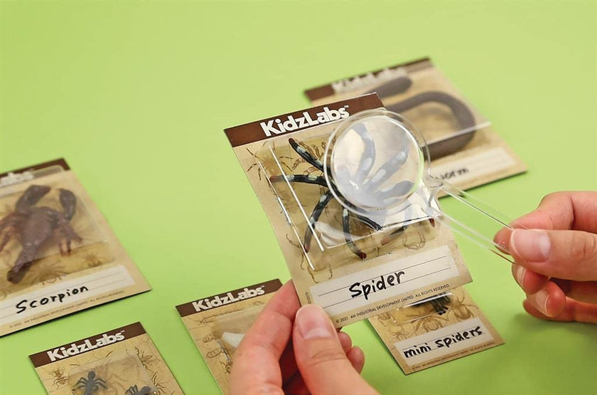 4M - Creepy Crawly Digging Kit