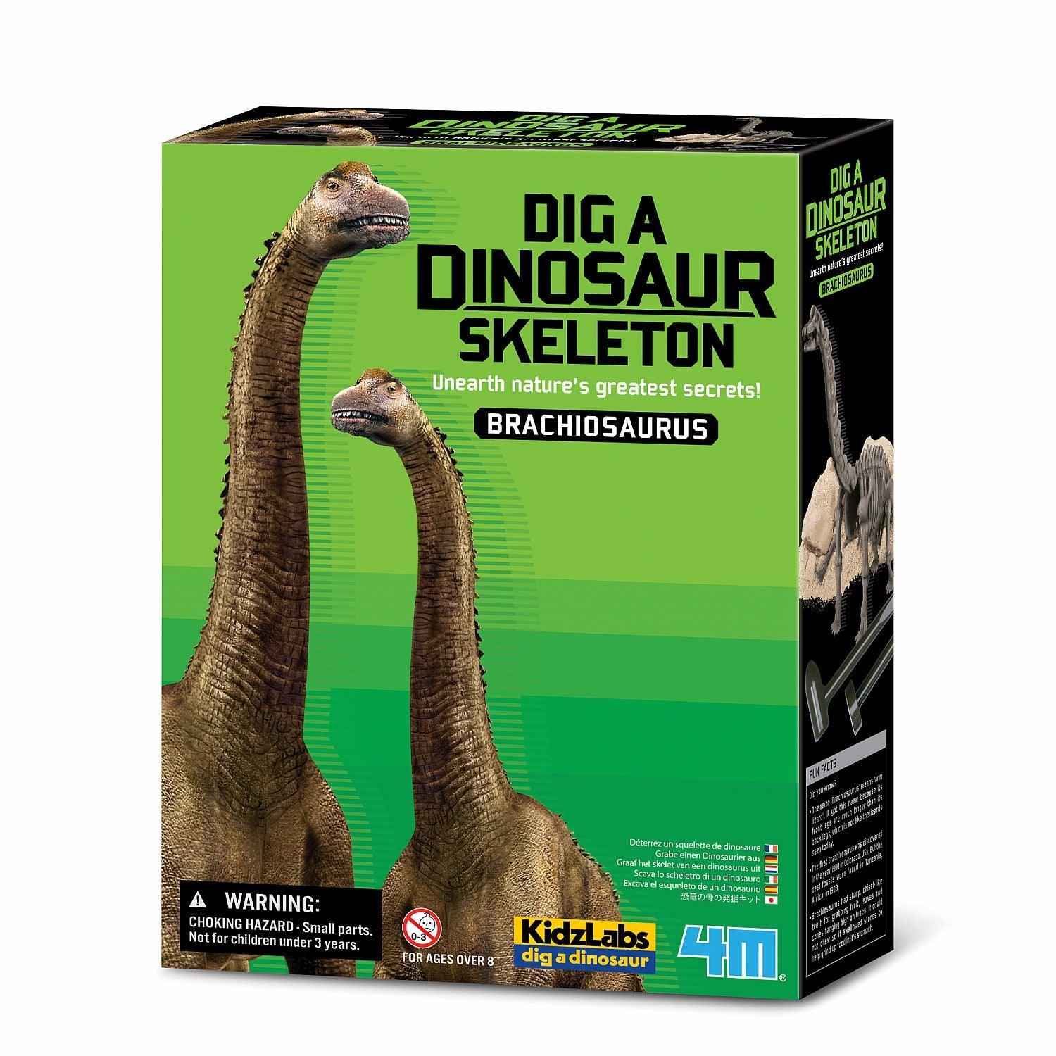 4M - Dig A Brachiosaurus