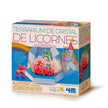 4M - Unicorn Crystal Terrarium (French Version)
