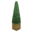 Mayer Potted Boxwood Topiary Plant (Multiple Sizes)