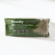 Premium Natural Forest Moss