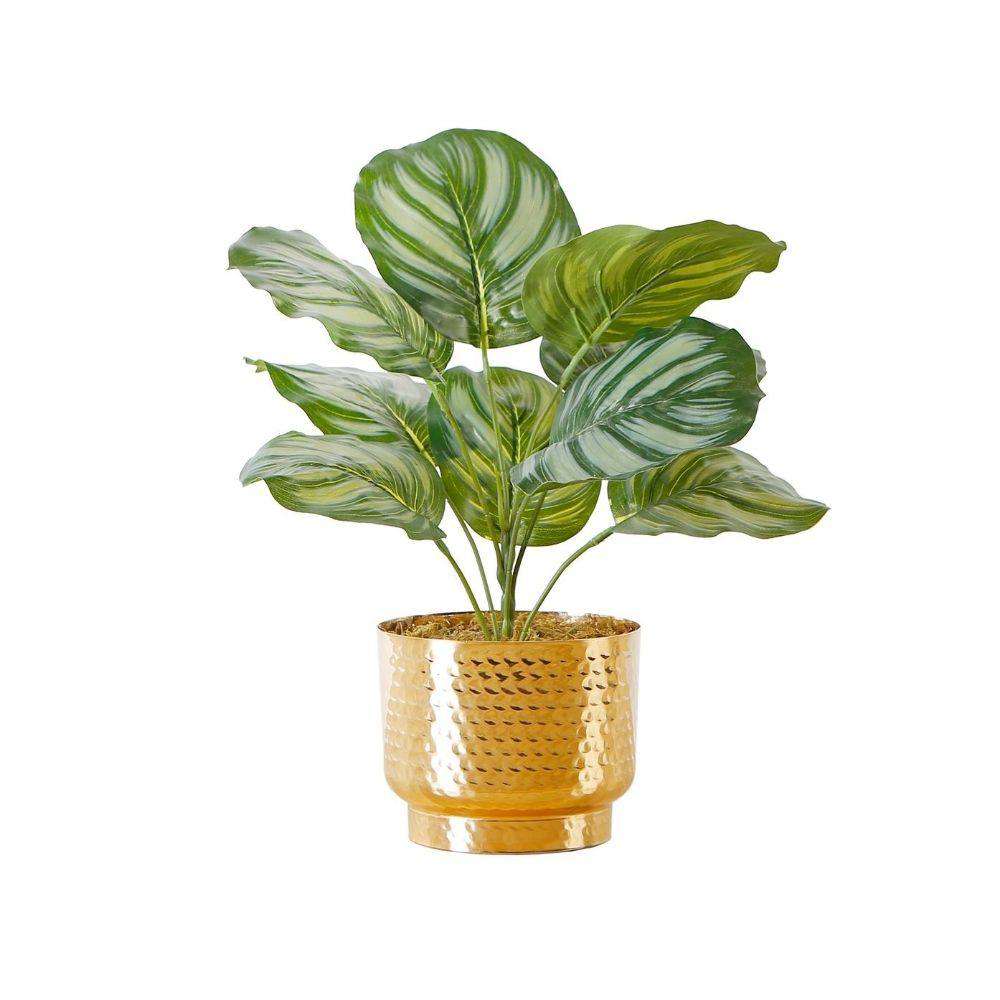 Calathea Faux Potted Plant