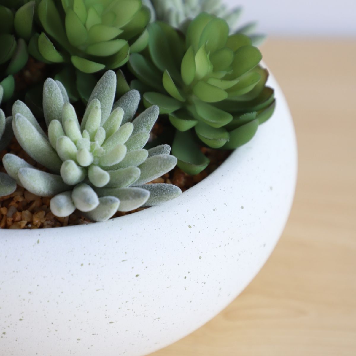 Zed Faux Succulent Arrangement in Low White Pot 7.1