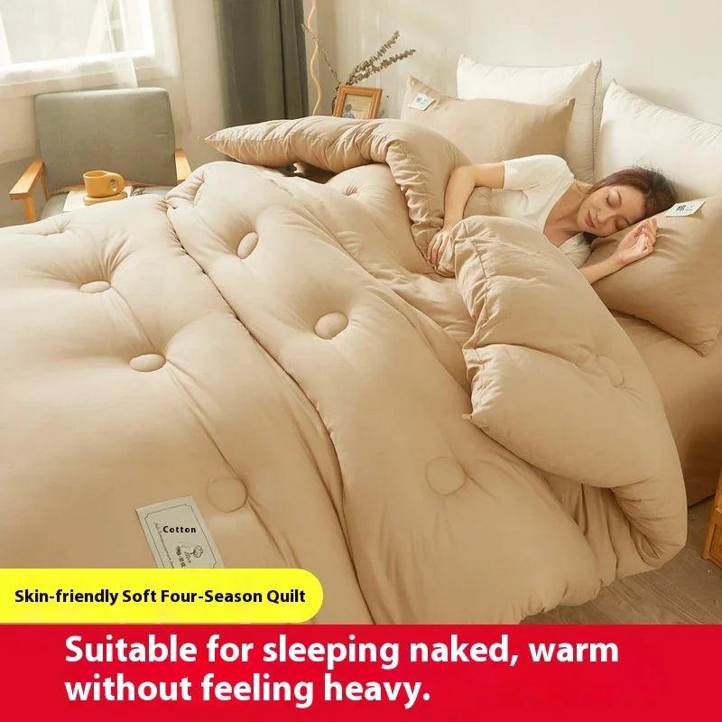 Airable Cover Double Thickened Cotton Duvet Insert