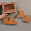 Einstein Lock Wooden Puzzle International Braised Brain Decompression