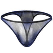 Men's Underwear Silk Spandex Briefs thong