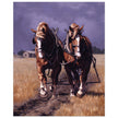 THROUGH FIELDS OF GOLD Fine Art Print