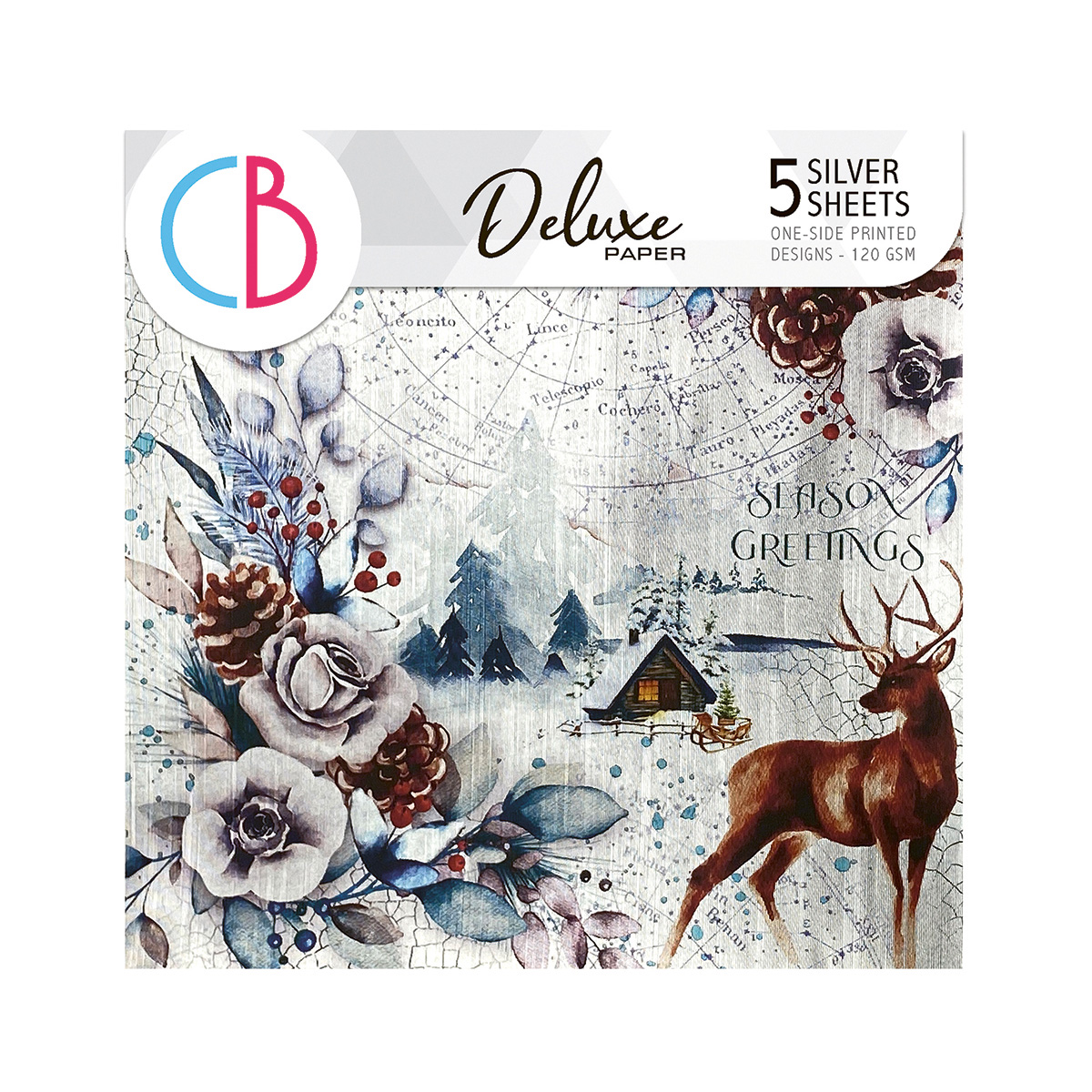 Winter Journey Deluxe Paper Silver 6
