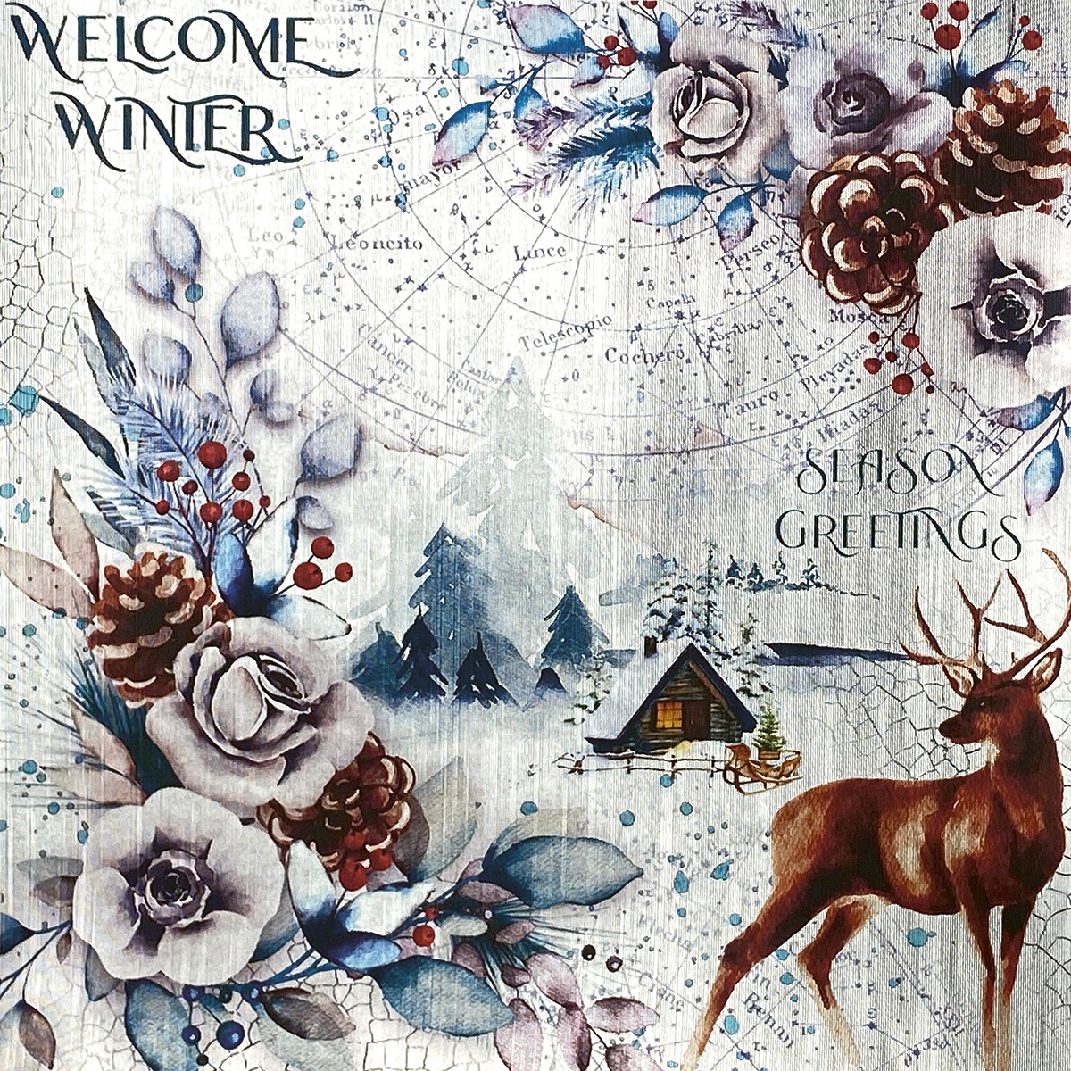Winter Journey Deluxe Paper Silver 6