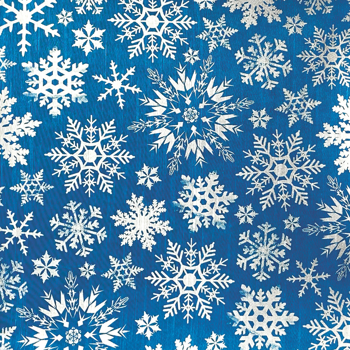 Winter Journey Deluxe Paper Silver 6