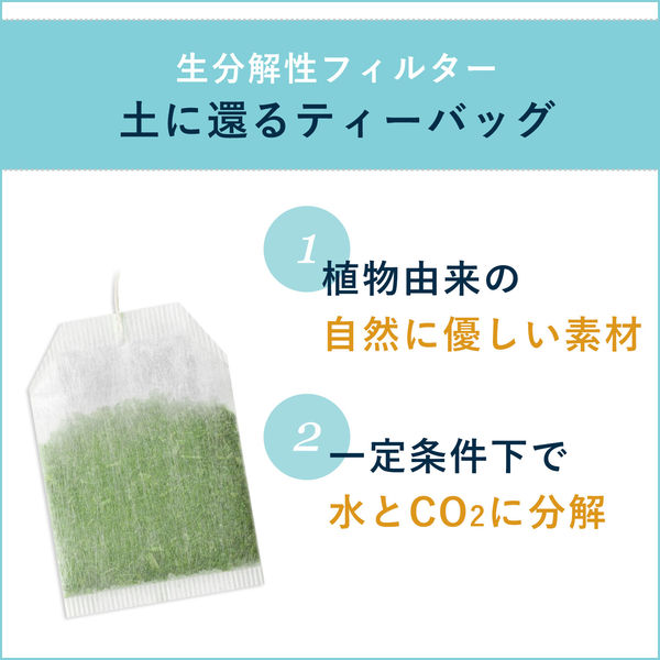 Itoen Oi Ocha Matcha Green Tea (20 Packets/40G) [Best Before Date: 2027.02]