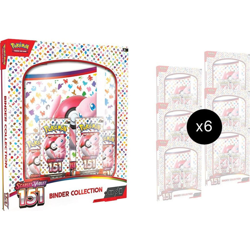151 Binder Collection Case